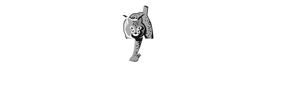 indomada-diseño-fotografia-naturaleza-wildlife-aefona-logo.png
