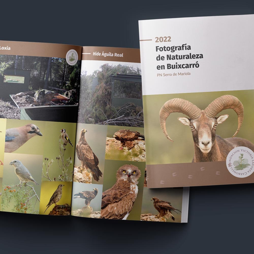 Indomada-studio-conservacion-naturaleza-wildlife-diseño-editorial-dossier-hides-fundacion-victoria-laporta.jpg