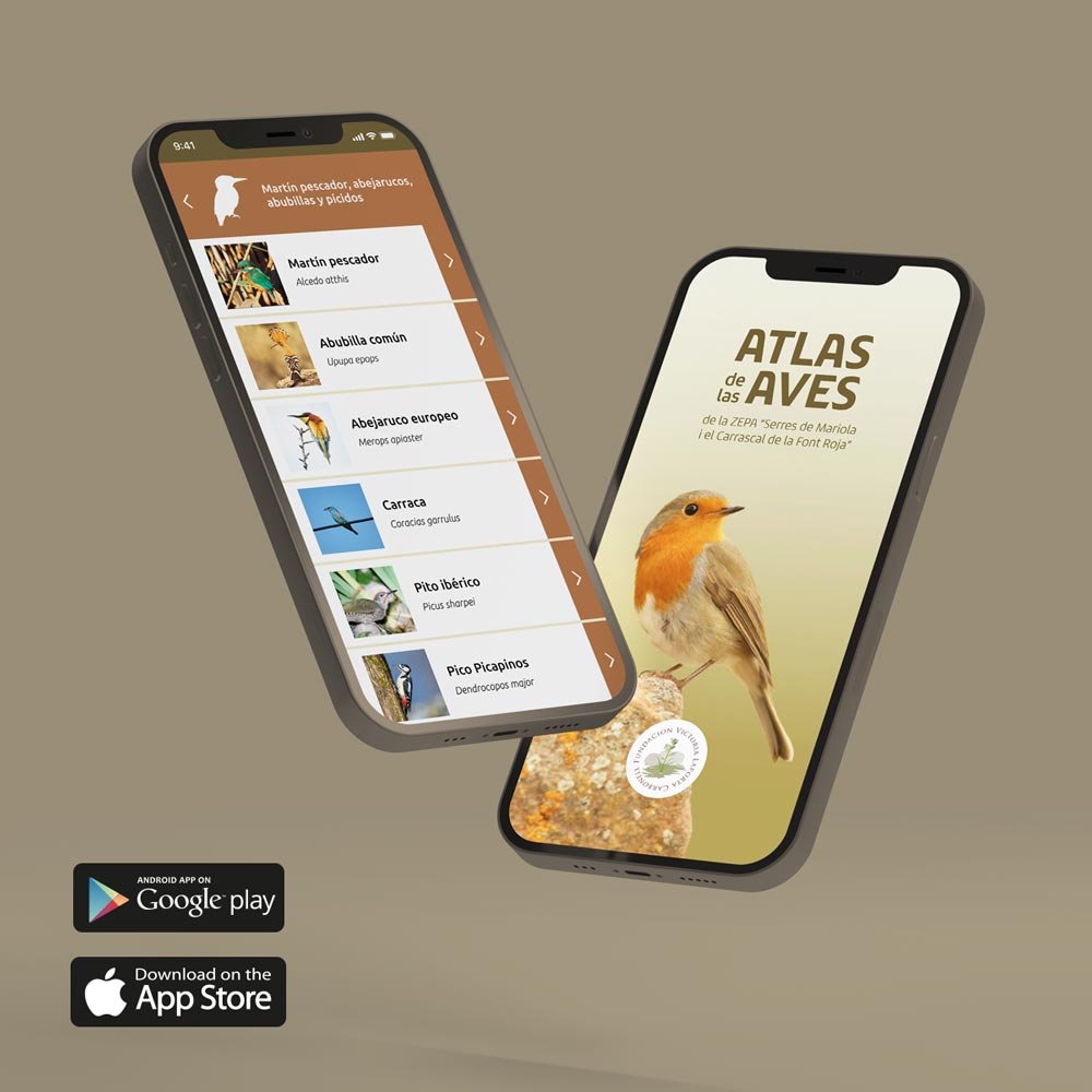Indomada-studio-conservacion-naturaleza-wildlife-diseño-app-atlas-aves-mariola.jpg