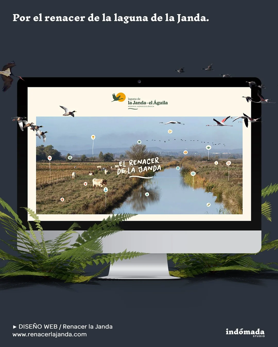 🎨 DISEÑO WEB / Renacer la Janda. Sumando esfuerzos para hacer un sueño realidad. 
.
🌟 Hay proyectos chulos, hay proyectos interesantes, y luego están los proyectos necesarios, como este. Una iniciativa ya en marcha que busca re