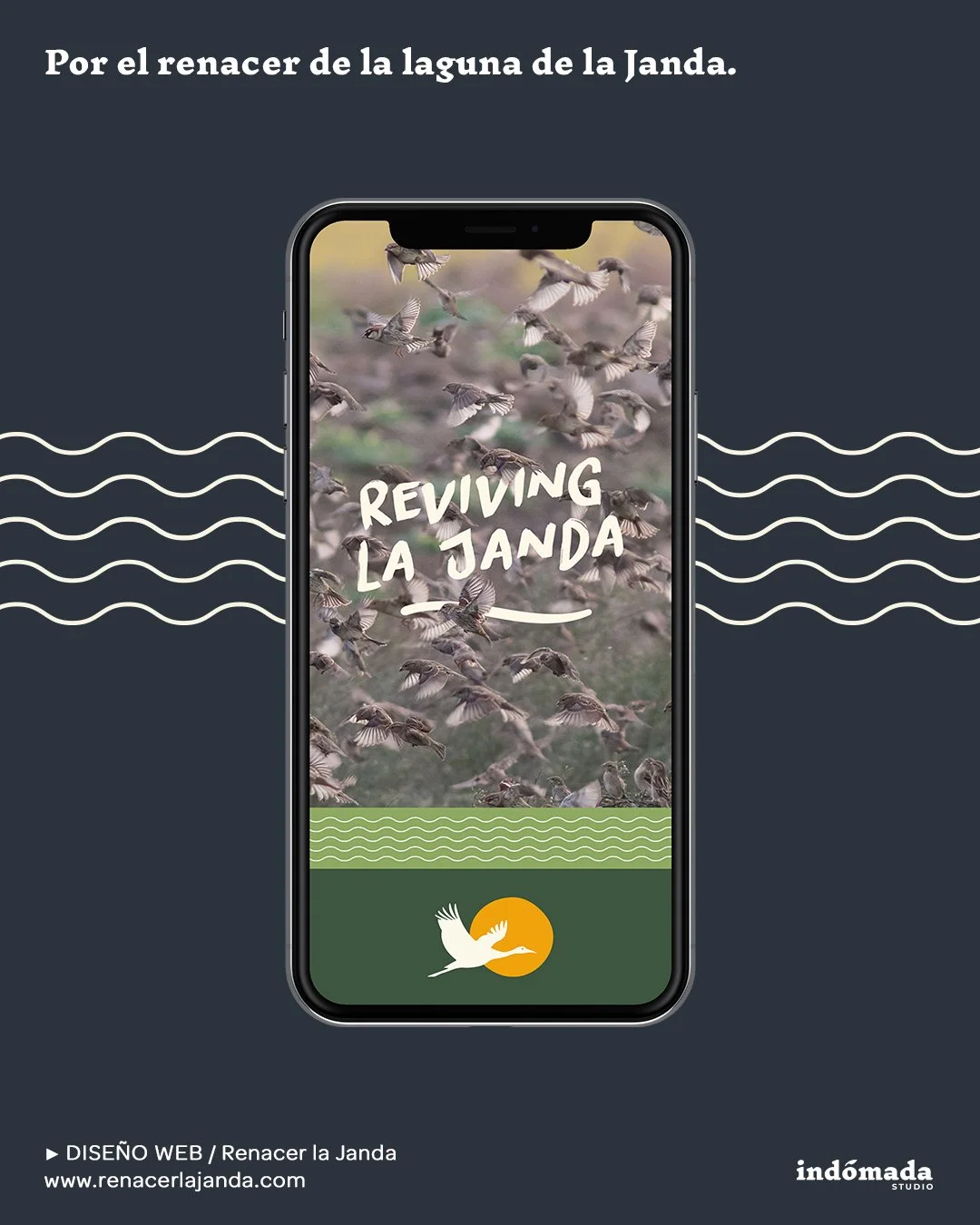 🎨 DISEÑO WEB / Renacer la Janda. Sumando esfuerzos para hacer un sueño realidad. 
.
🌟 Hay proyectos chulos, hay proyectos interesantes, y luego están los proyectos necesarios, como este. Una iniciativa ya en marcha que busca re