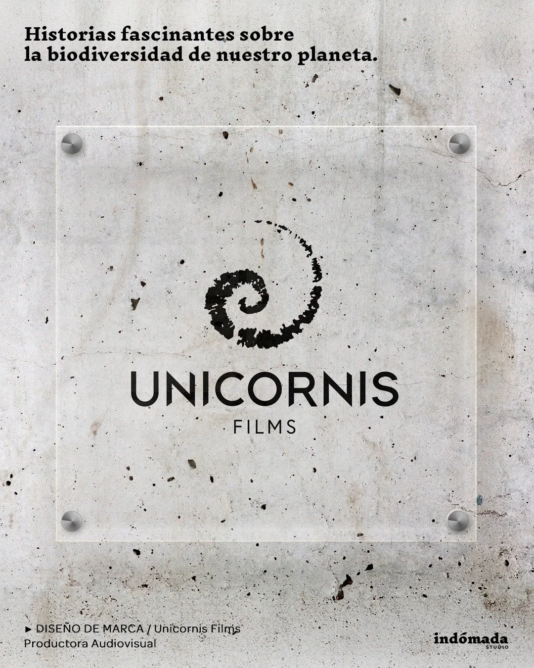🦉 La biodiversidad no es solo un conjunto de especies. Es un tejido de historias silenciosas que merecen ser contadas con respeto, rigor y belleza.

.

🎬 En colaboraci&oacute;n con Unicornis Films, contribuimos a dar forma a una narrativa visual qu