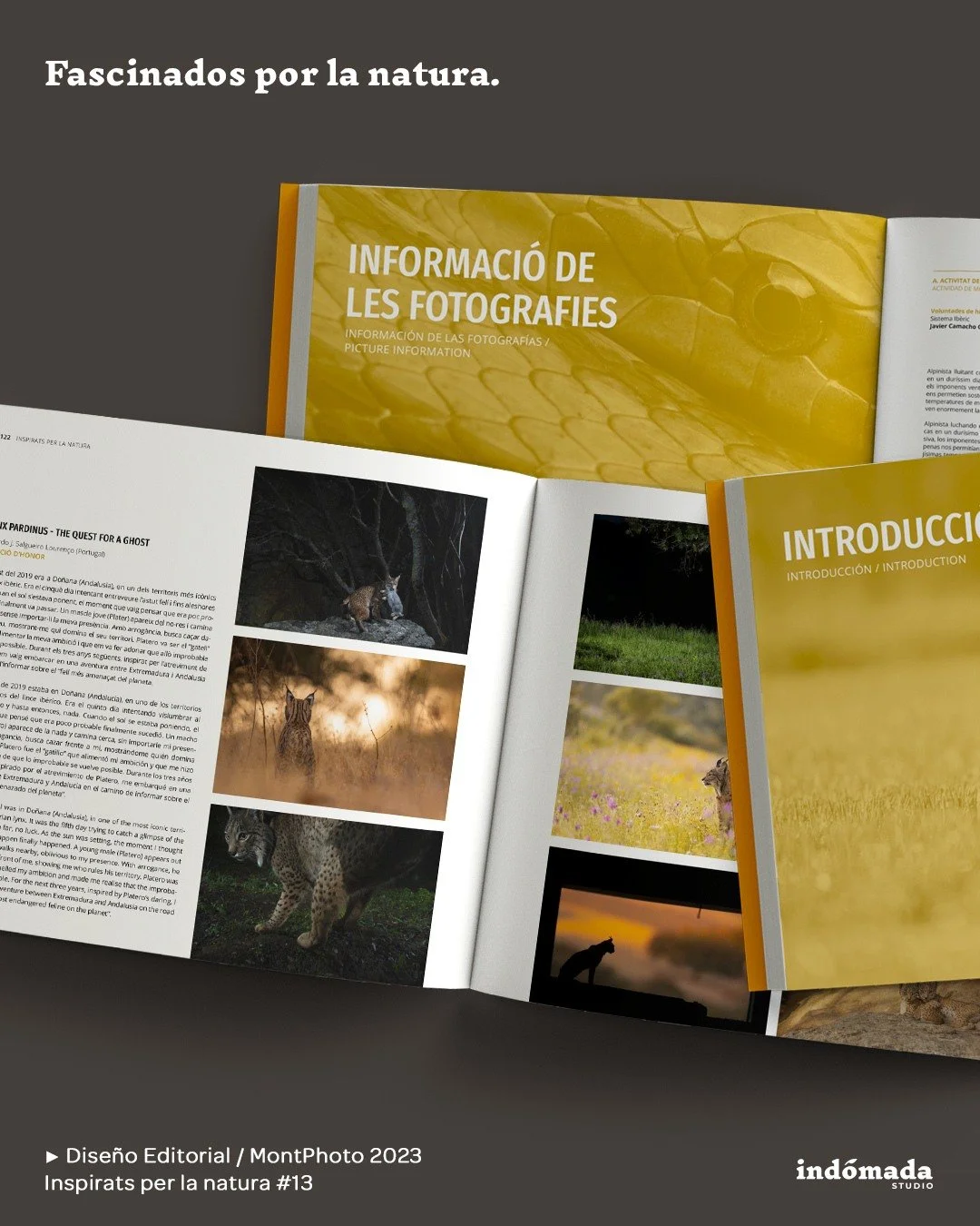 📖Dise&ntilde;o y maquetaci&oacute;n editorial para MontPhoto.

Libro &ldquo;Inspirats per la natura&rdquo; del concurso internacional de fotograf&iacute;a de naturaleza 2023 @montphotocontest

.

🌍Cada imagen es un testimonio. Cada p&aacute;gina, u