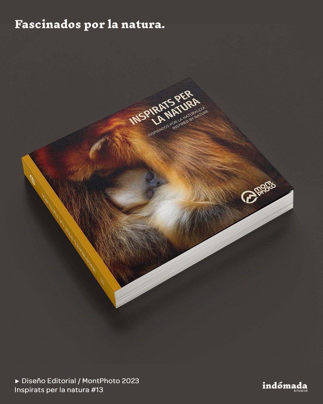 📖Dise&ntilde;o y maquetaci&oacute;n editorial para MontPhoto.

Libro &ldquo;Inspirats per la natura&rdquo; del concurso internacional de fotograf&iacute;a de naturaleza 2023 @montphotocontest
.
🌍Cada imagen es un testimonio. Cada p&aacute;gina, un 