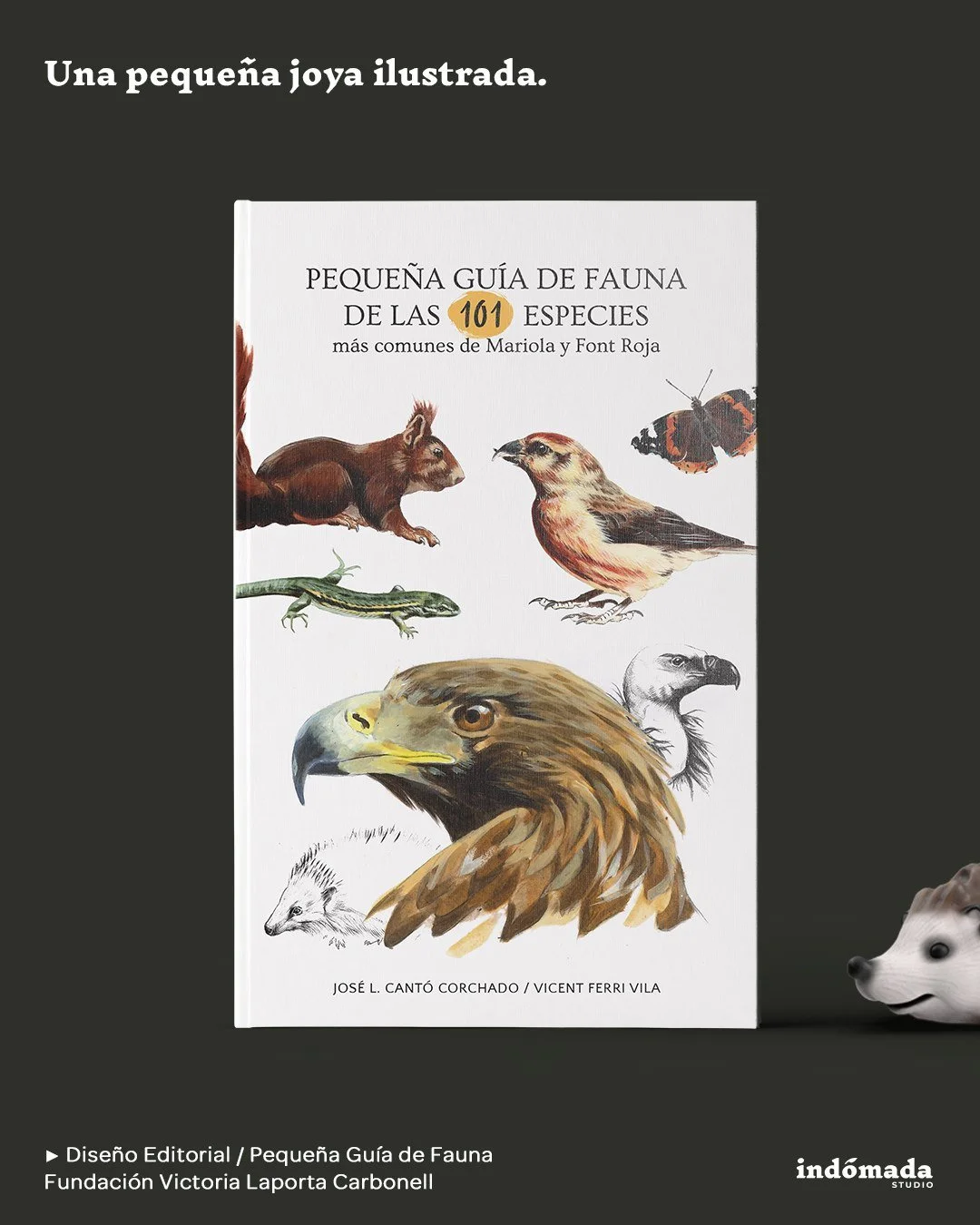 Dise&ntilde;o y maquetaci&oacute;n editorial para la Fundaci&oacute;n Victoria Laporta Carbonell.

Libro ilustrado &ldquo;Peque&ntilde;a Gu&iacute;a de Fauna de las 101 especies m&aacute;s comunes de Mariola y Font Roja&rdquo;

.

📘M&aacute;s que un