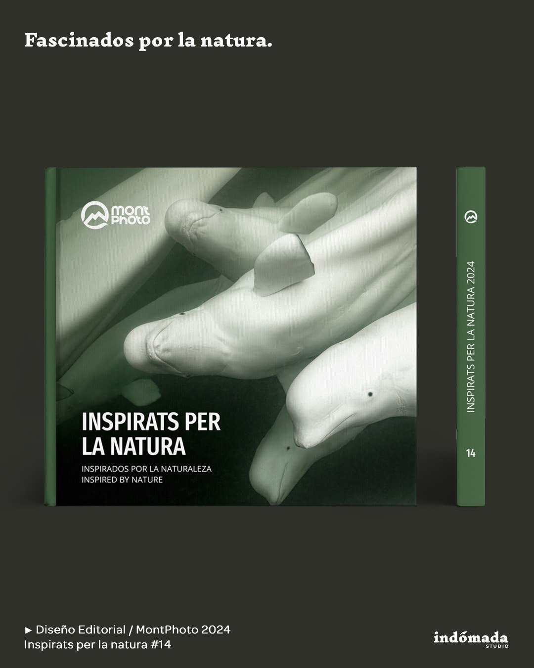 🌿 Dise&ntilde;o y maquetaci&oacute;n editorial para MontPhoto.

📘 Libro &ldquo;Inspirats per la natura&rdquo; del concurso internacional de fotograf&iacute;a de naturaleza 2024 @montphotocontest

💚 Transforma tu idea en una experiencia visual. Des