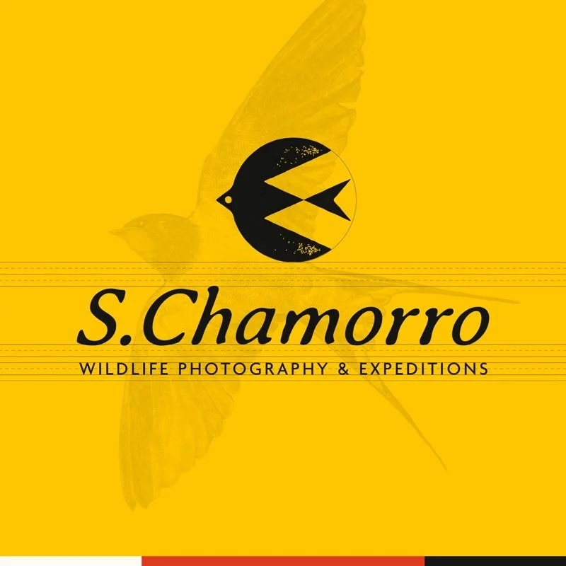 Indomada-studio-conservacion-naturaleza-wildlife-diseño-branding-logo-chamorro.jpg