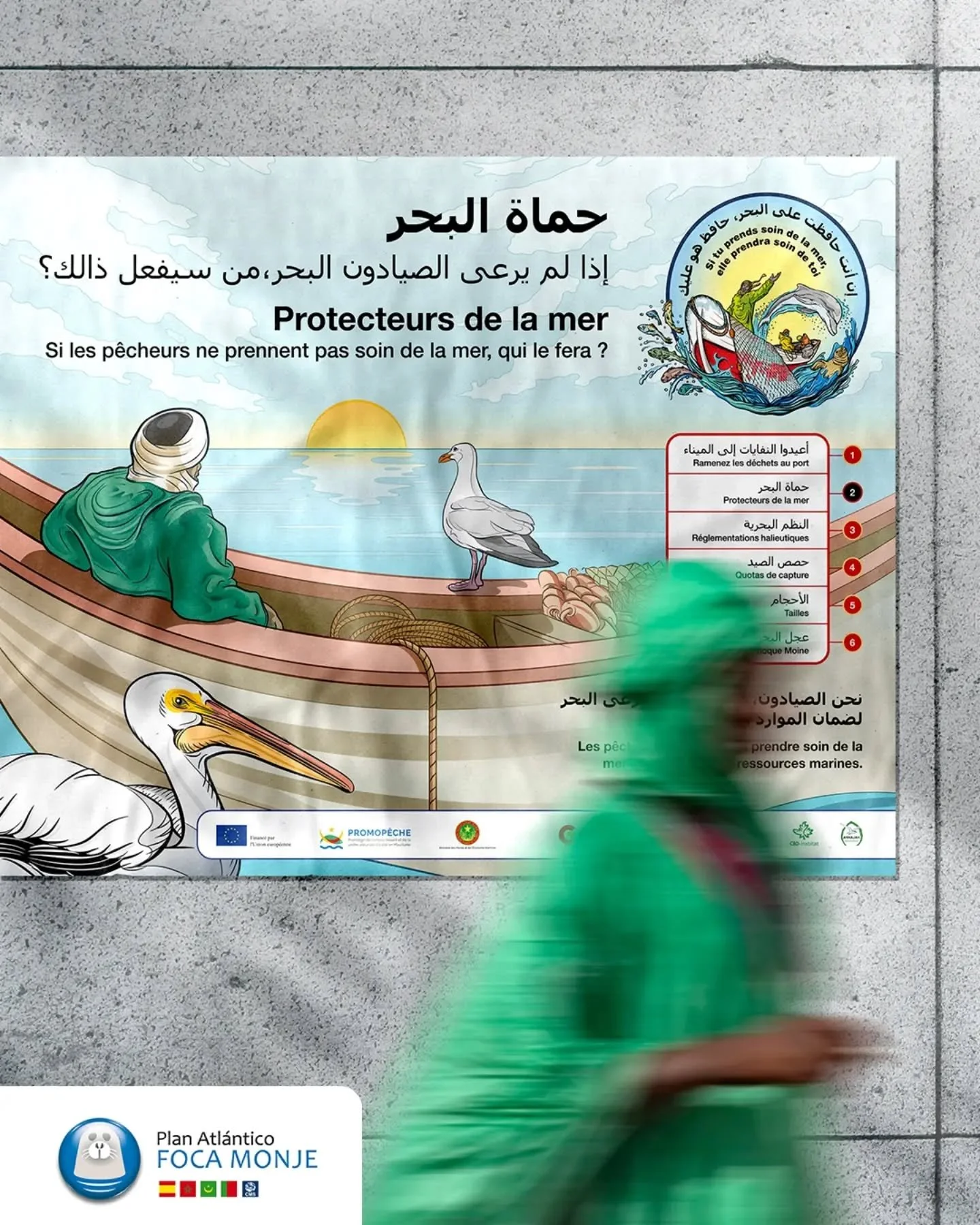 ✍️ Dise&ntilde;os para el Programa de Conservaci&oacute;n de la Foca Monje del Mediterr&aacute;neo, para la fundaci&oacute;n CBD-H&aacute;bitat.

💚 M&aacute;s de 20 a&ntilde;os trabajando para asegurar la supervivencia y recuperar la &uacute;ltima g