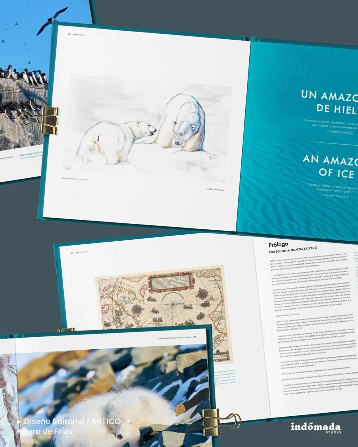 ✍️ DISE&Ntilde;O EDITORIAL/ &Aacute;rtico, cuando lo eterno deja de serlo

💙 La asombrosa belleza del ecosistema m&aacute;s espectacular del planeta, en 200 im&aacute;genes obtenidas en 16 expediciones &aacute;rticas

📷 por Arturo de Fr&iacute;as @