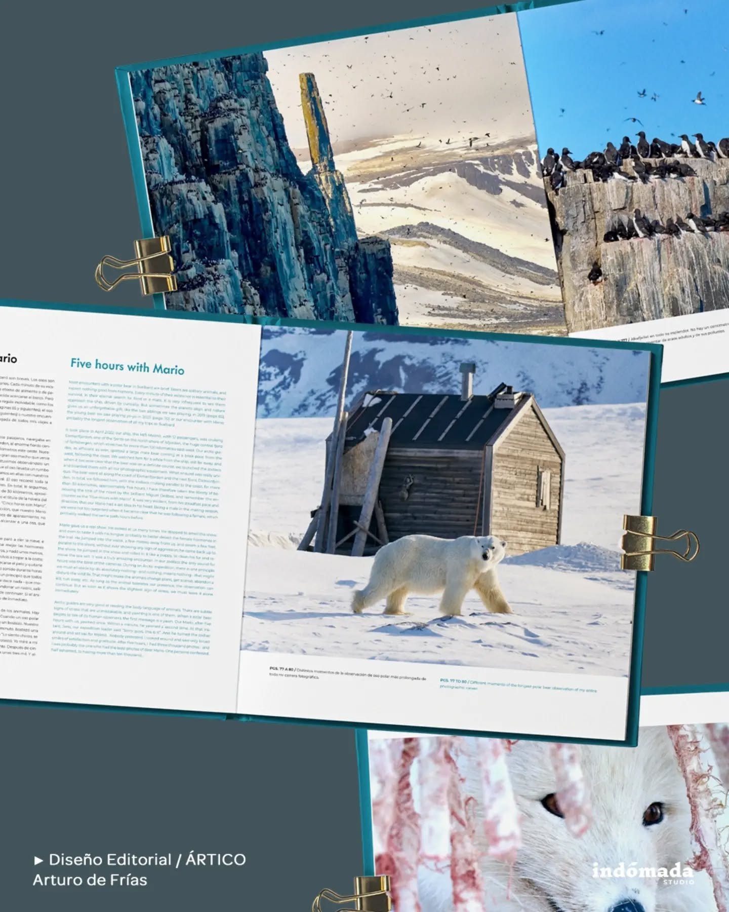 ✍️ DISE&Ntilde;O EDITORIAL/ &Aacute;rtico, cuando lo eterno deja de serlo

💙 La asombrosa belleza del ecosistema m&aacute;s espectacular del planeta, en 200 im&aacute;genes obtenidas en 16 expediciones &aacute;rticas

📷 por Arturo de Fr&iacute;as @