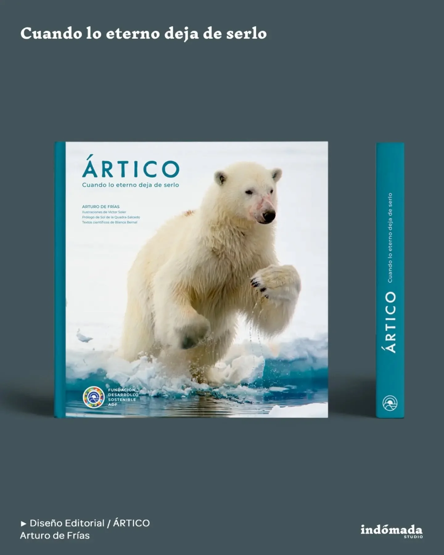 ✍️ DISE&Ntilde;O EDITORIAL/ &Aacute;rtico, cuando lo eterno deja de serlo

💙 La asombrosa belleza del ecosistema m&aacute;s espectacular del planeta, en 200 im&aacute;genes obtenidas en 16 expediciones &aacute;rticas

📷 por Arturo de Fr&iacute;as @