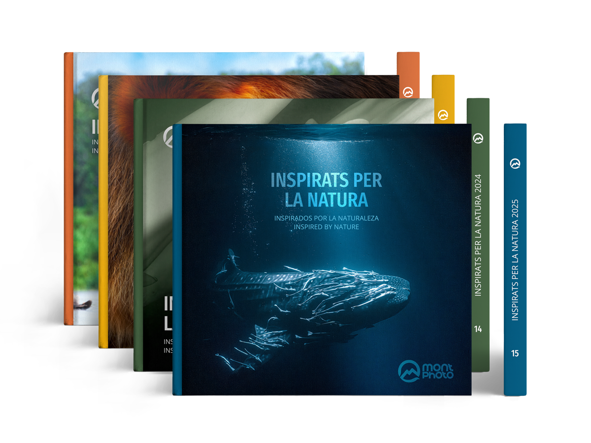 MontPhoto - Libros 22, 23, 24 y 25