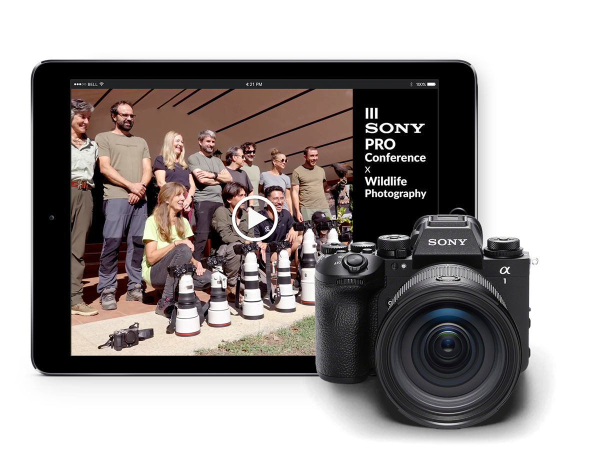 VÍDEO - III Sony PRO Conference 2025