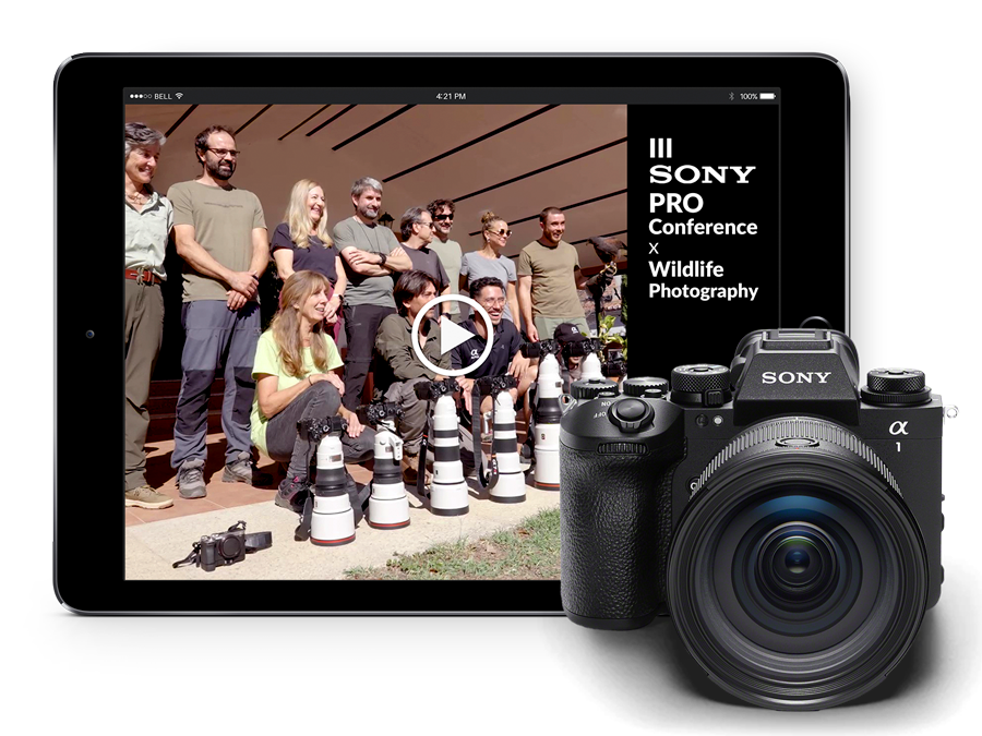 VÍDEO - III Sony PRO Conference 2025