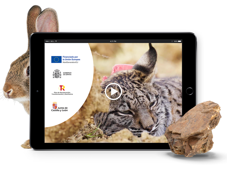 VÍDEOS - Junta de Castilla y León