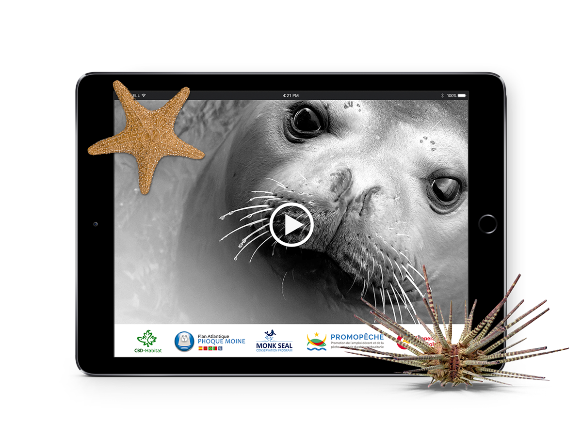 DOCU - Las focas de Cabo Blanco