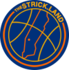 thestrick.land-logo