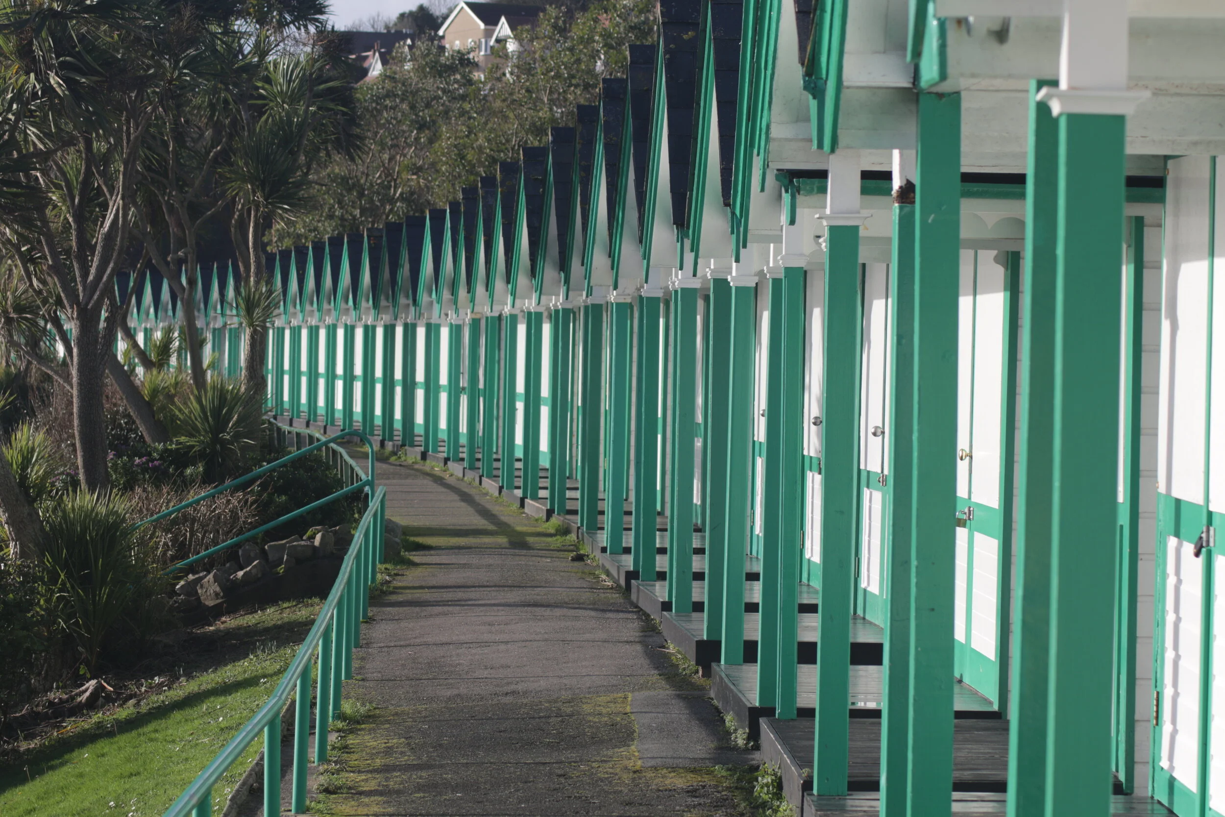  Langland Bay, 15 January 2020 