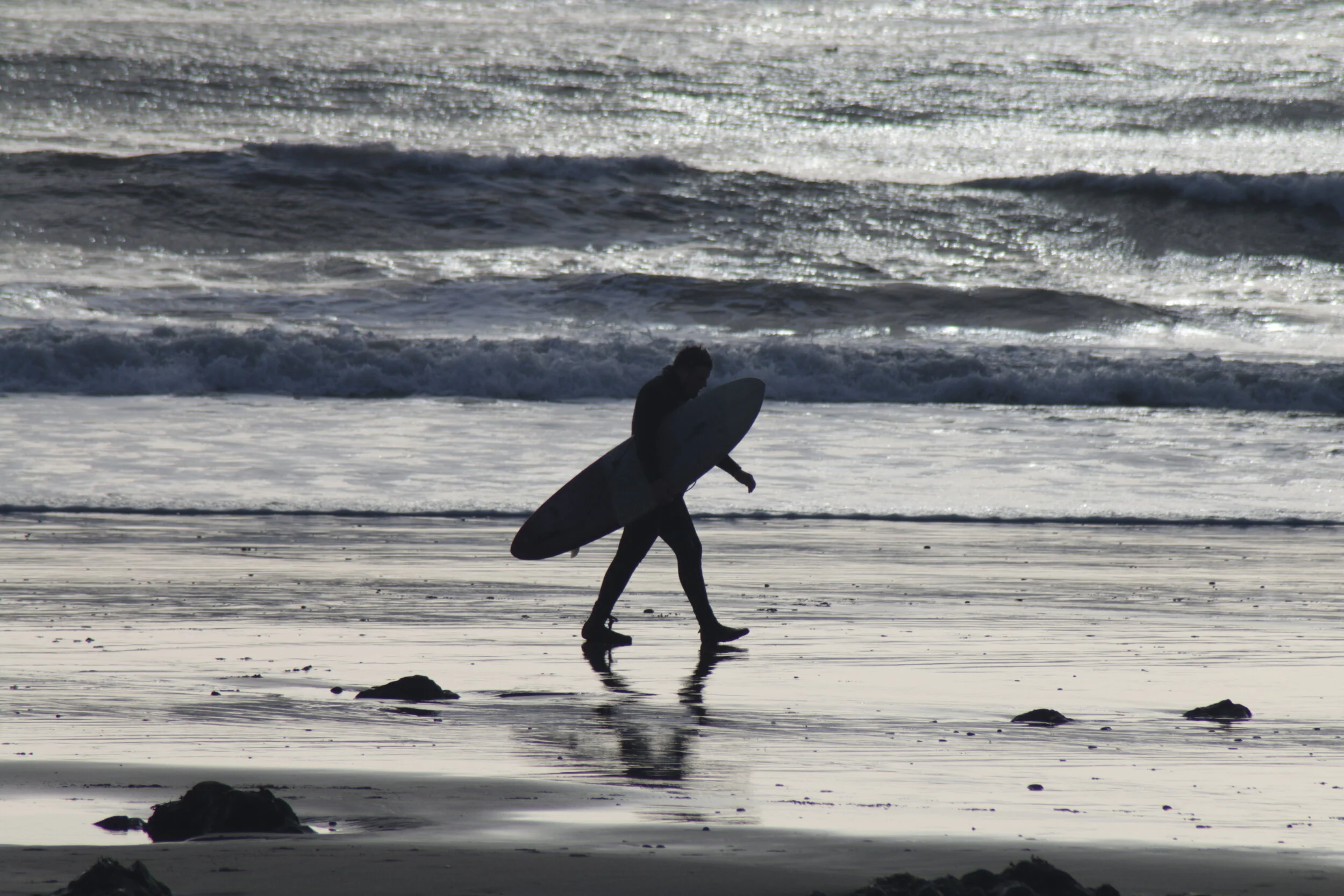  Langland Bay, 15 January 2020 