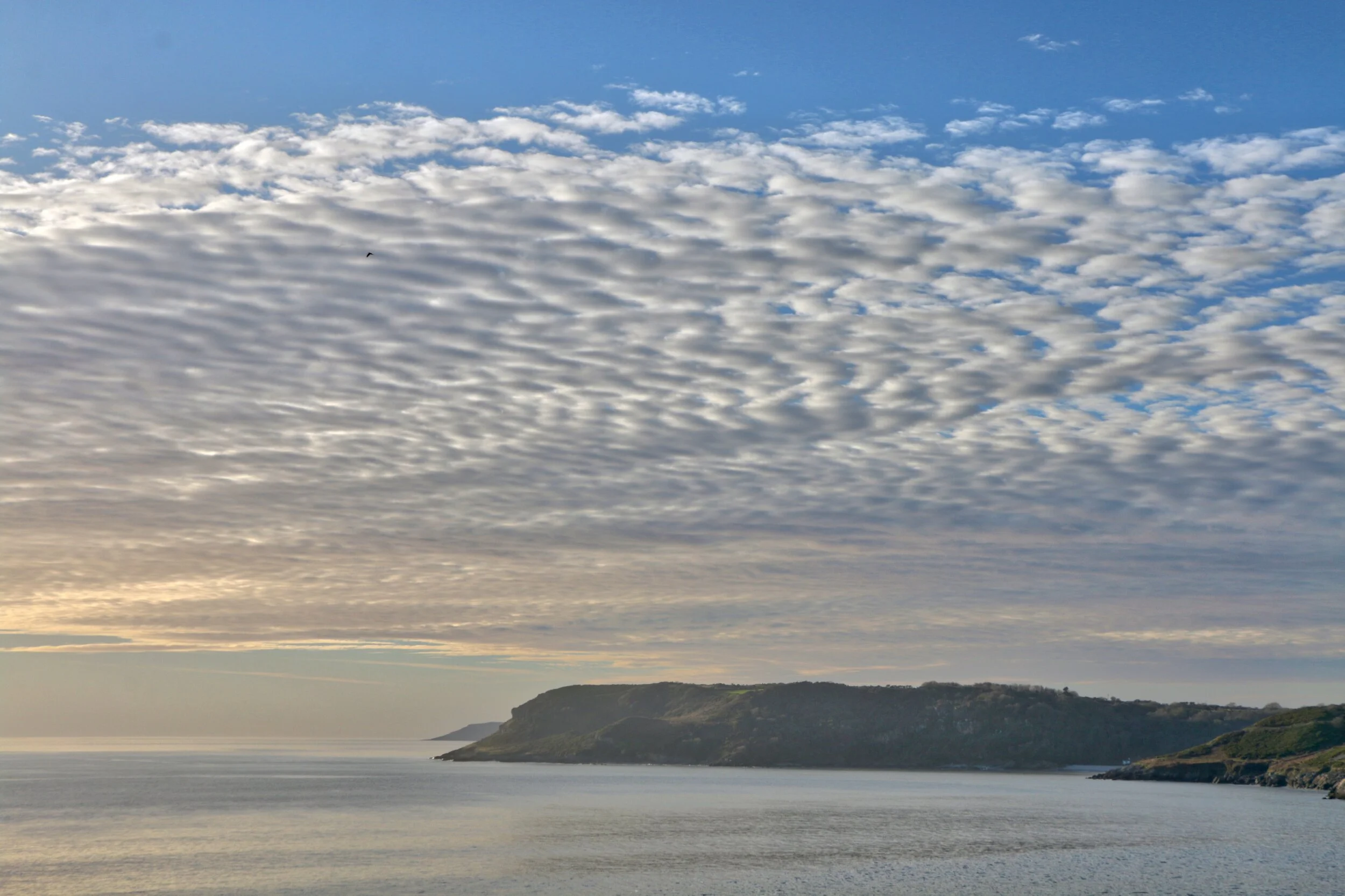  Langland, 19 January 2020 