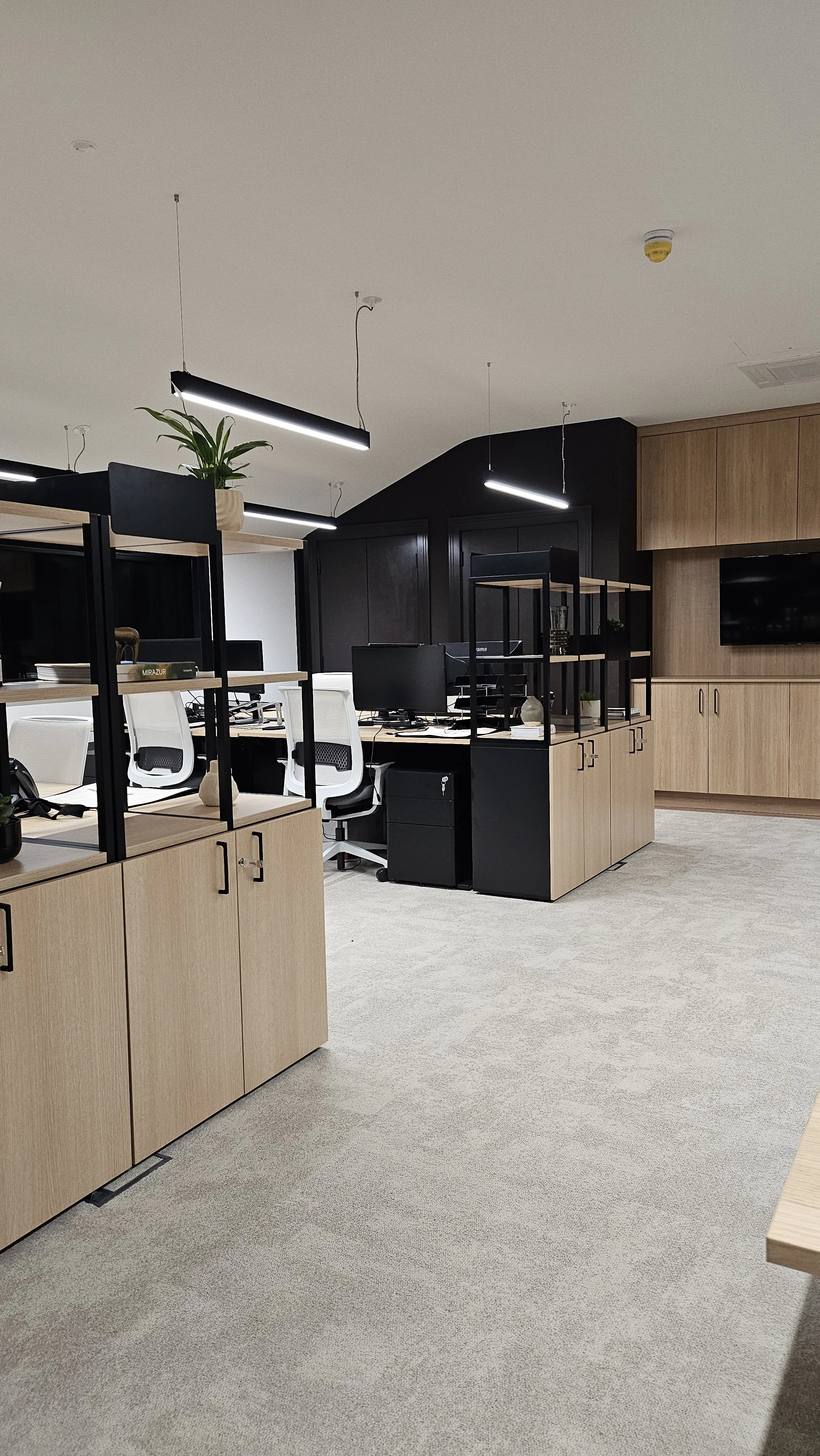 Modern office with desks, white chairs, black computer monitors, wooden storage cabinets, and shelving units with green plants, lit by linear LED ceiling lights.