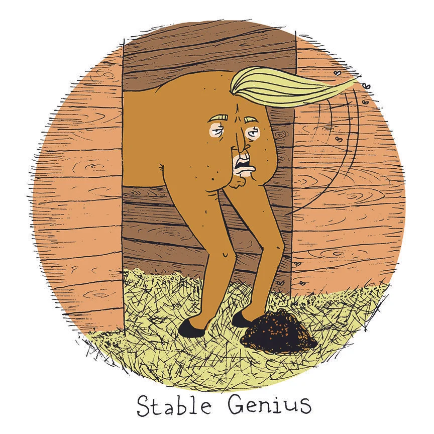 "STABLE GENIUS"