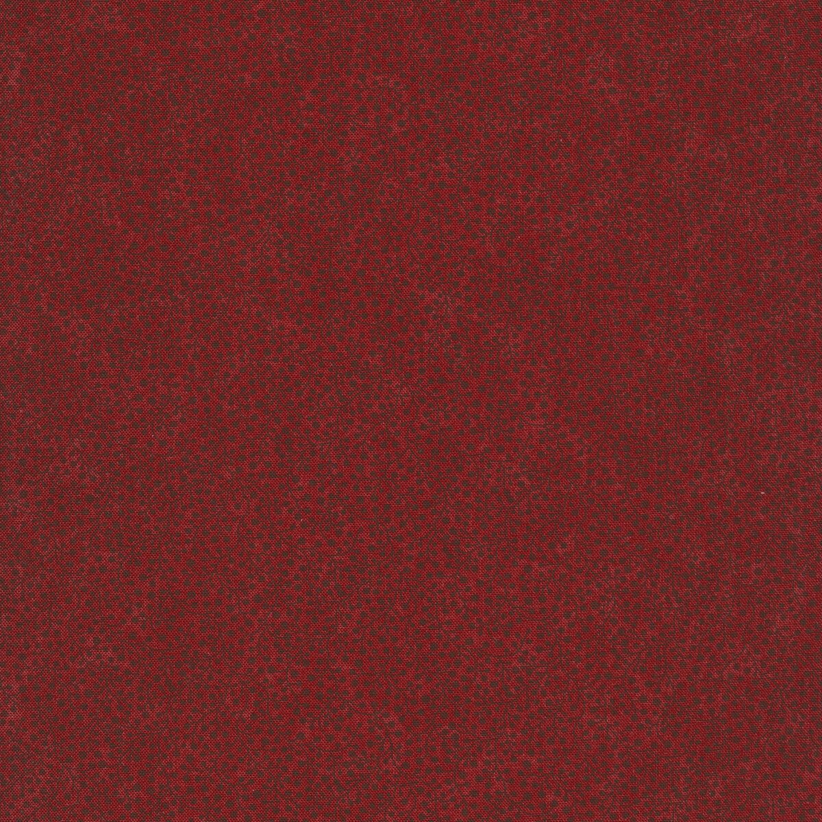 IMG_0102.jpeg