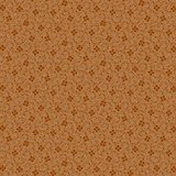 IMG_0734.jpeg