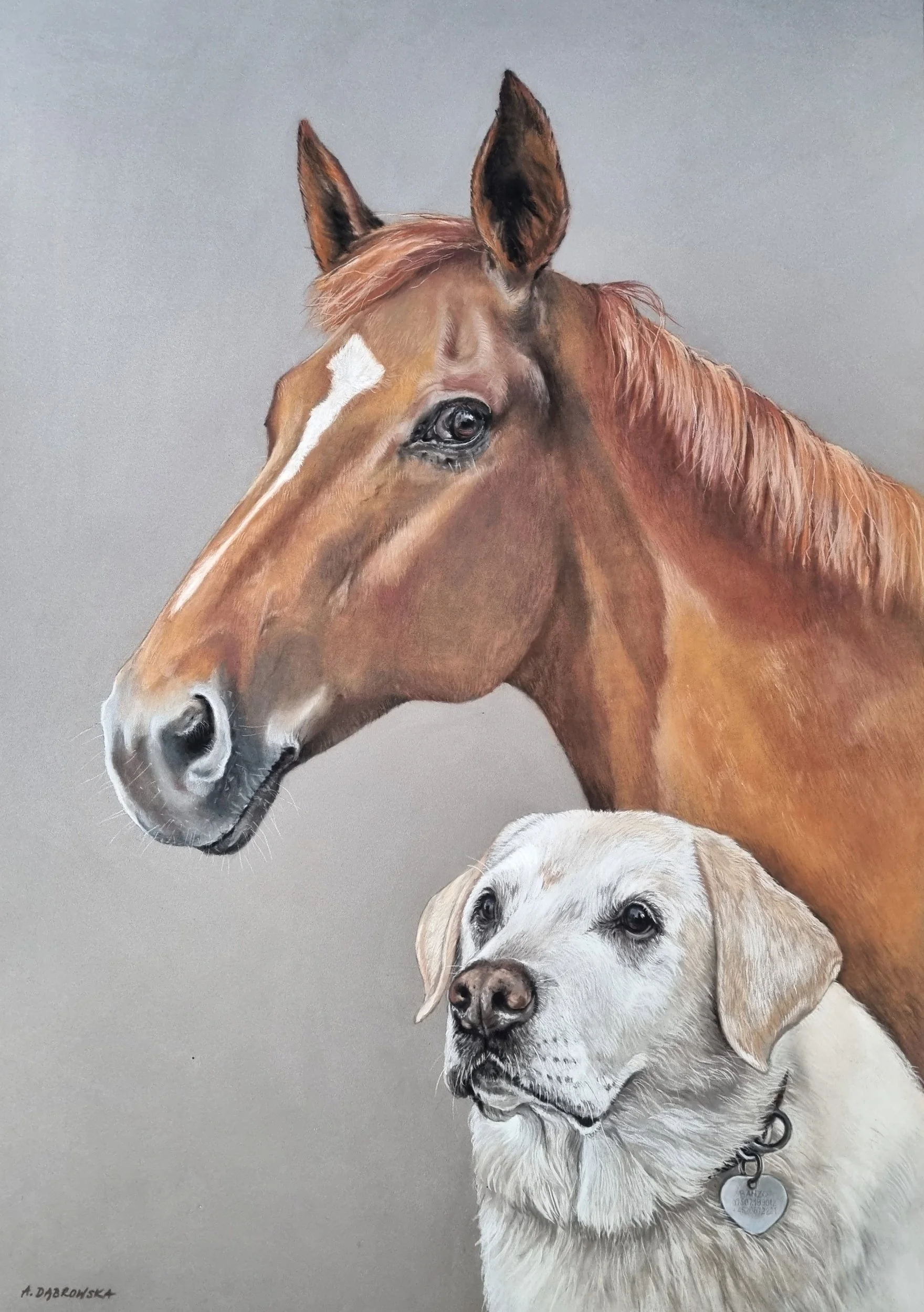 Horse and dog