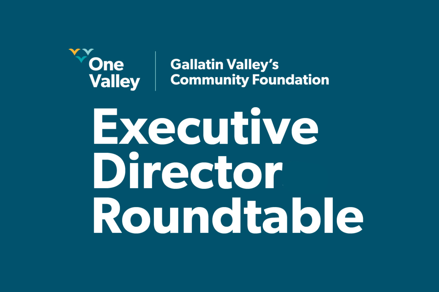 Executive Director Roundtable - Virtual