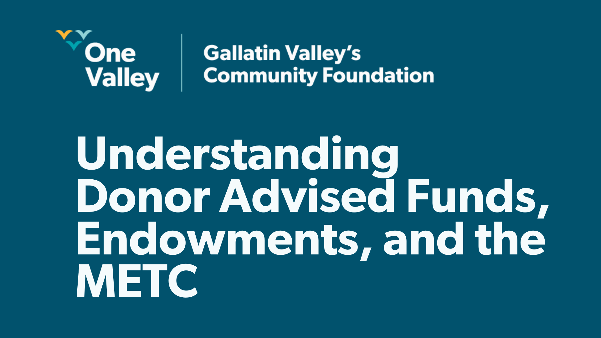 Understanding Donor Advised Funds, Endowments, and the METC