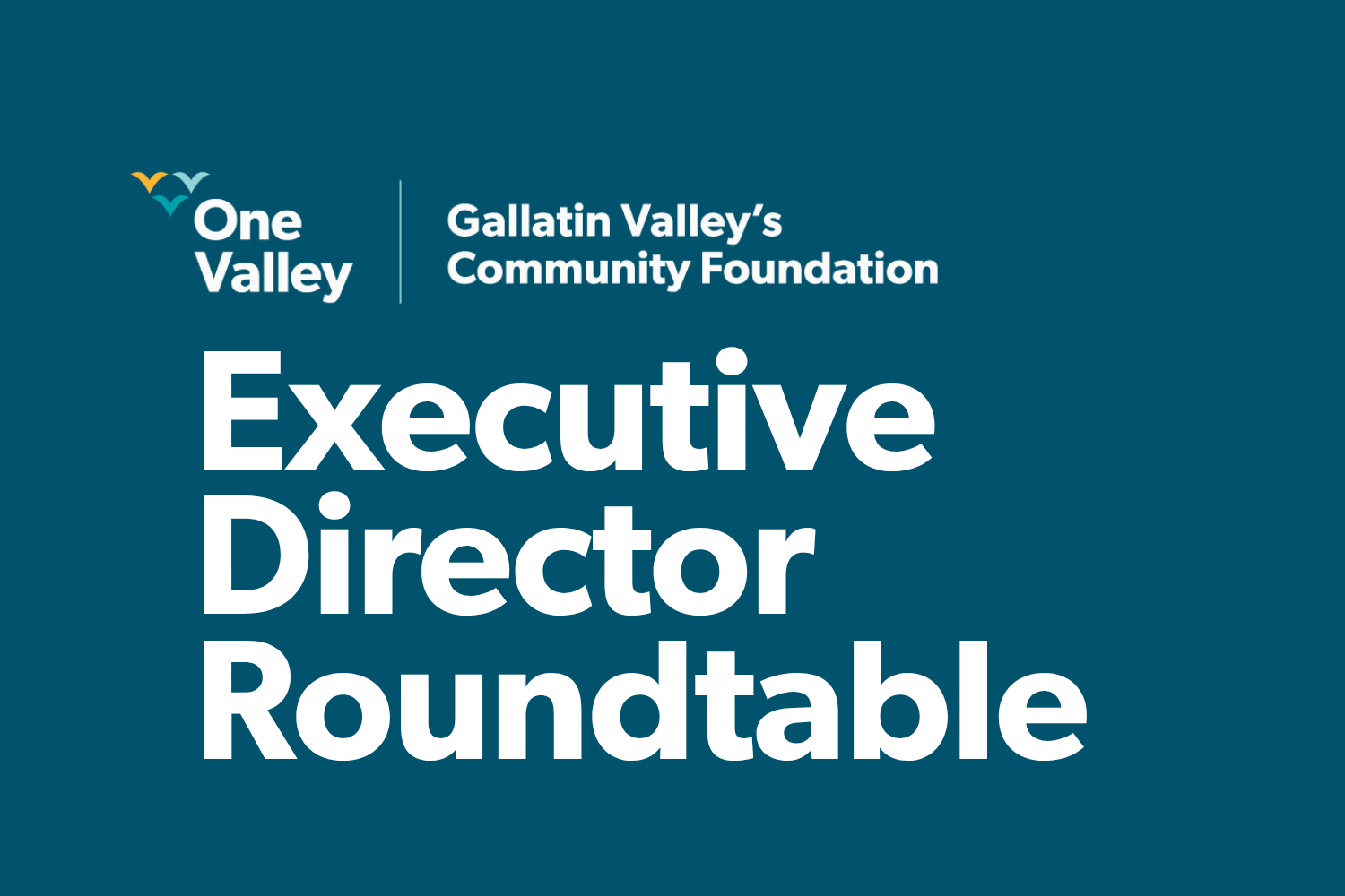 Executive Director Roundtable - Virtual