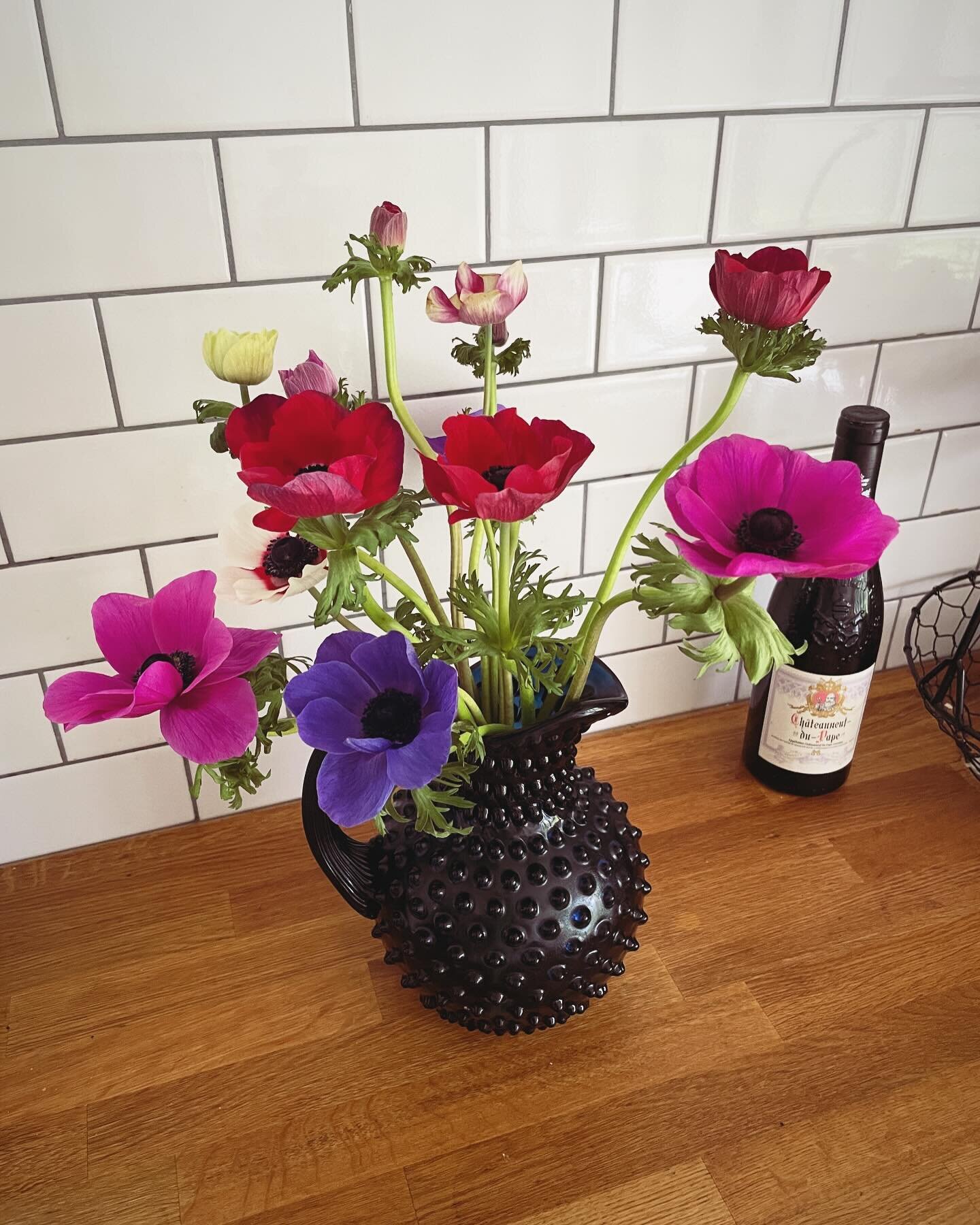 Anemones giving the kitchen some magic.💫