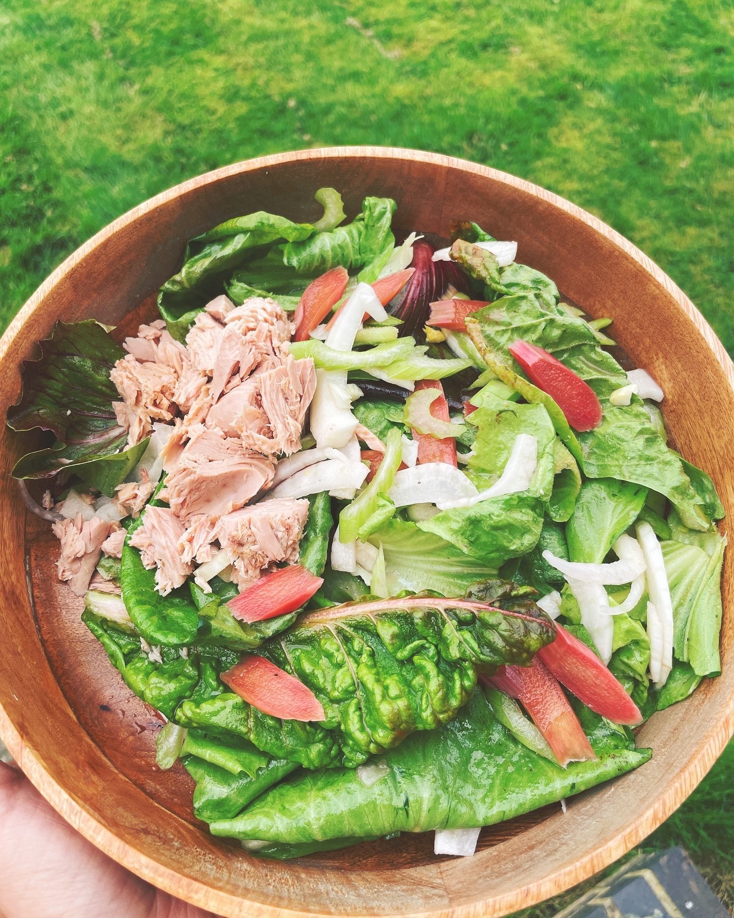 It&rsquo;s barely warm today but the sun is half out so al fresco lunch it is! Cicoria greens from the garden with very nice tuna, shaved fennel, crisp celery and a very unique twist&mdash; quick pickled rhubarb! A lovely tart addition and used the b