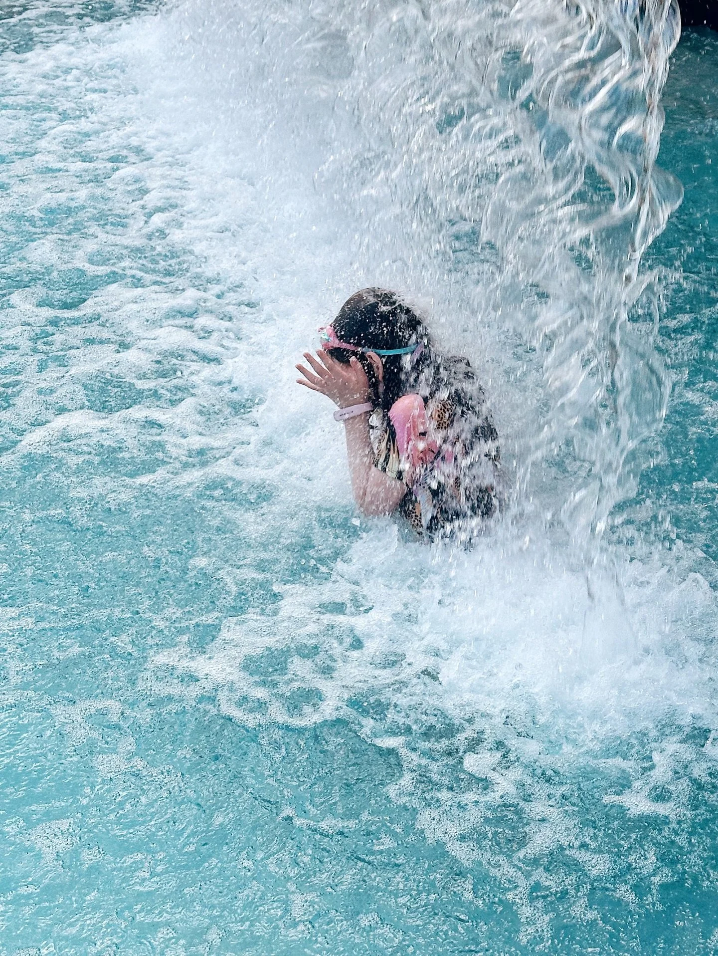 January photo dump. Started the month toasty warm in the Caribbean, and ended it buried beneath a foot of snow. Along the way, I did a lot of drawing and painting - mostly birds - and a lot of behind the scenes work on my website.