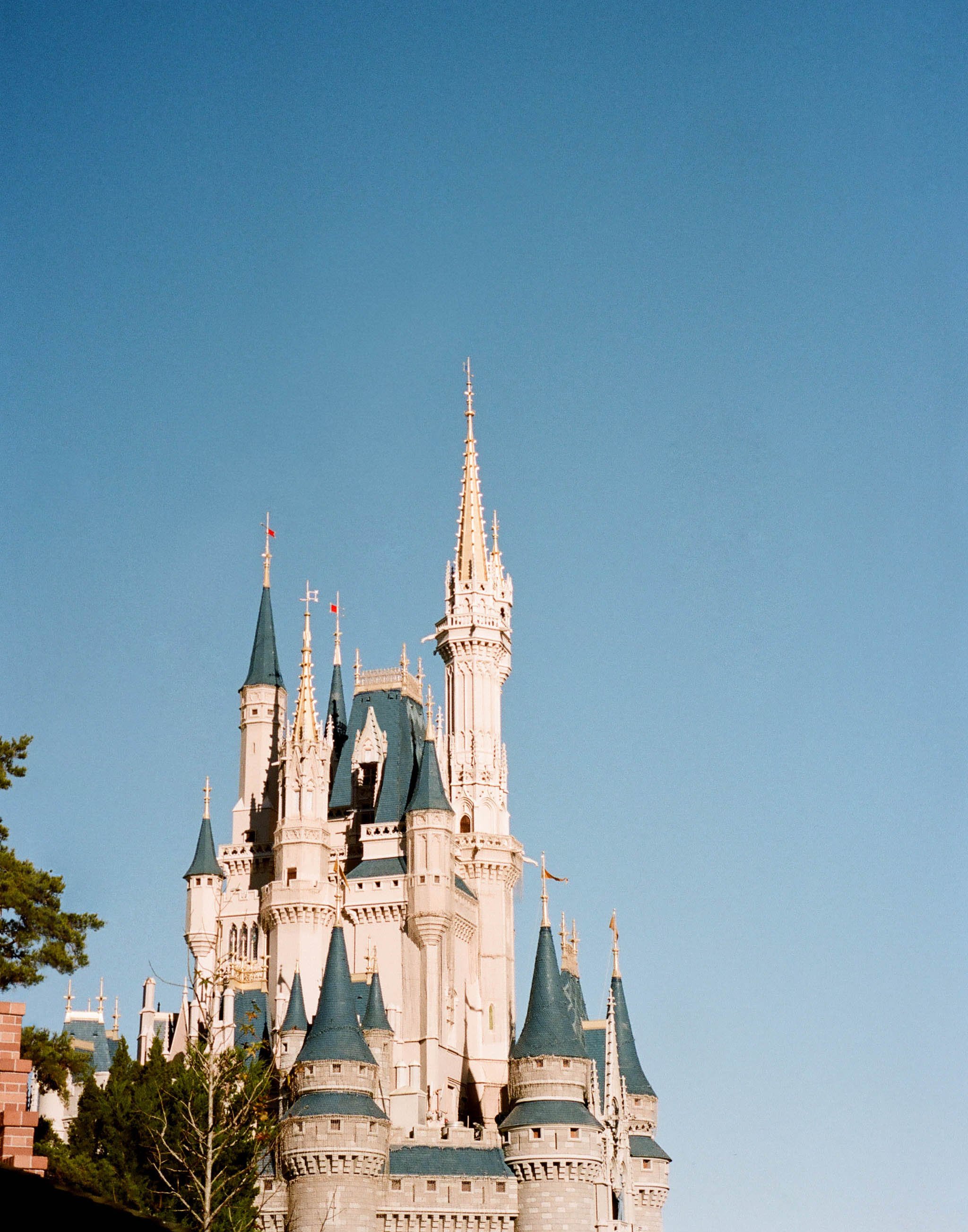 0016-Disney Castle.jpg
