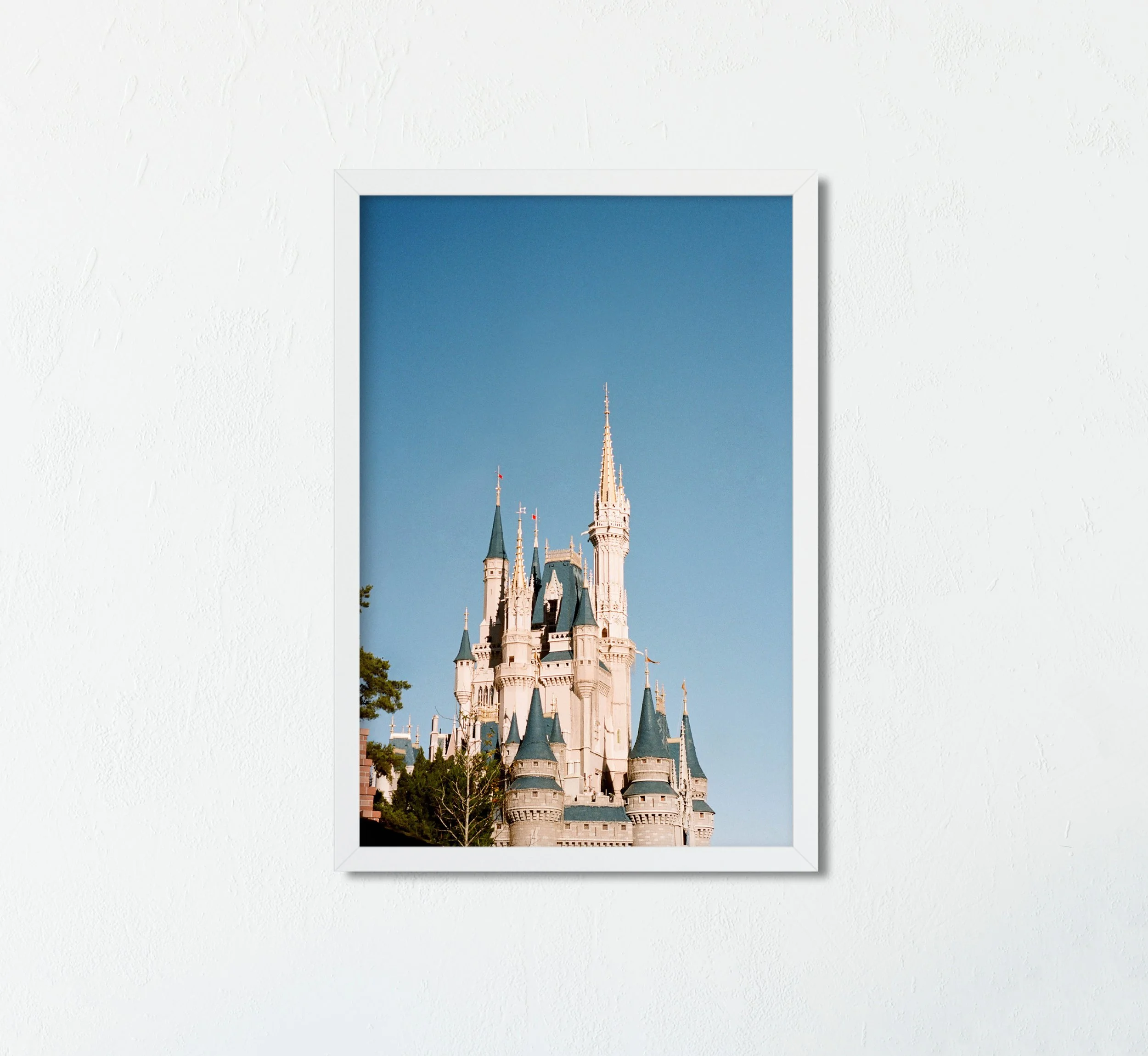 Cinderella's Castle