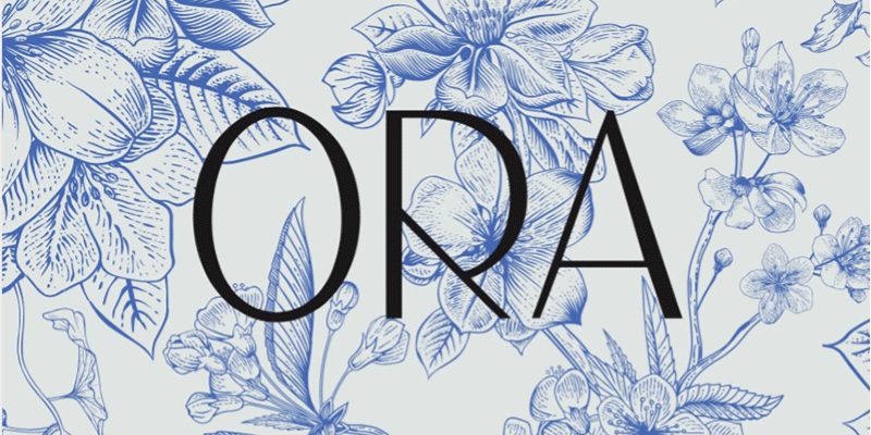 I helped concept ORA’s brand identity and developed email & blog content supporting virtual sessions during Covid.