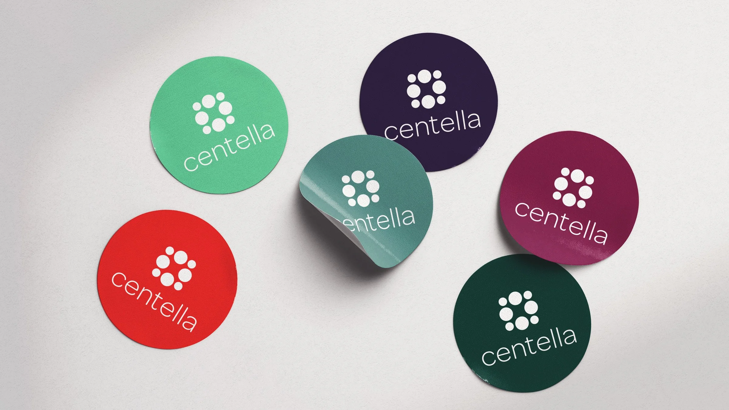 Centella2.jpg