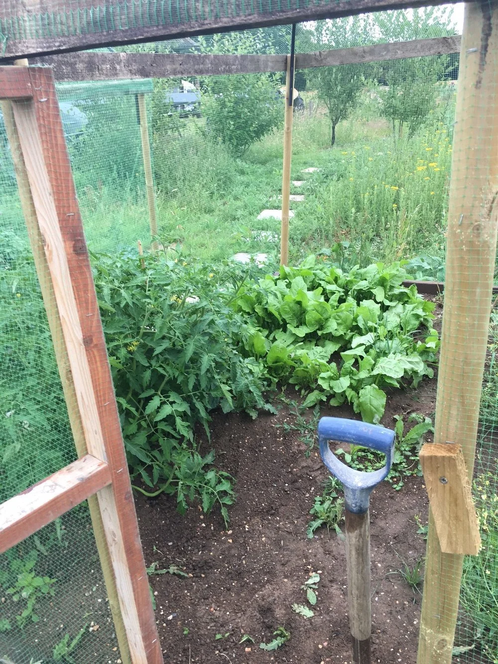 Home Farm Glamping veggies.jpeg