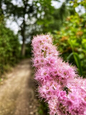 home-farm-glamping-wildflower.jpg