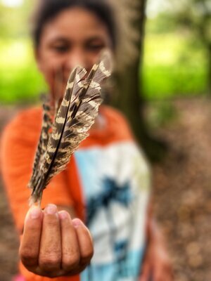 home-farm-glamping-nature-feather.jpg