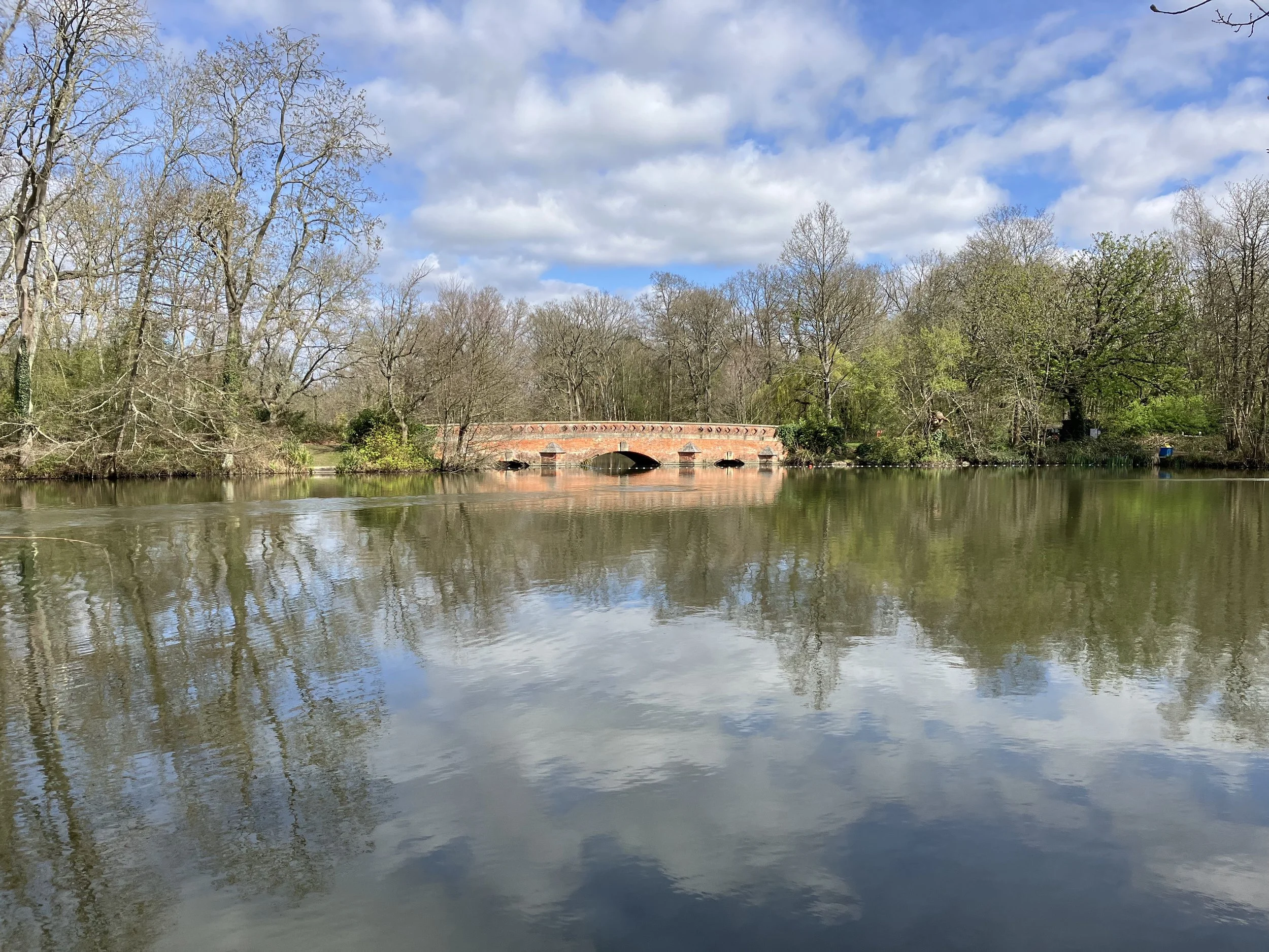 Biodiversity Spotlight: Reviving Tykes Water Lake