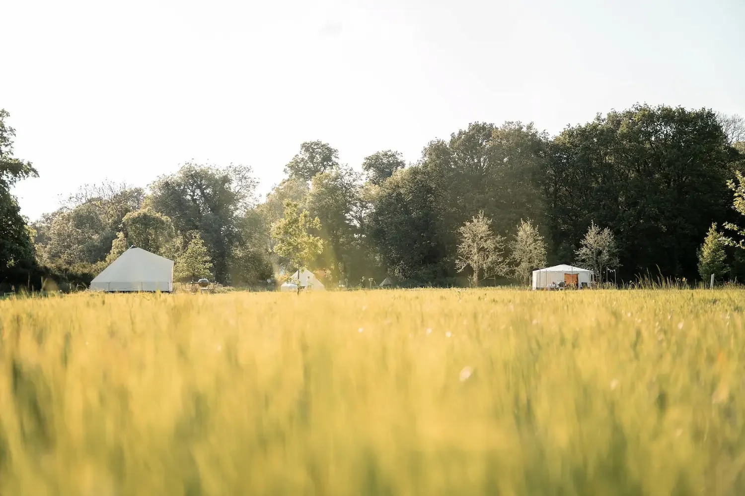 Yurts & bell tents in glamping meadow at Home Farm, Hertfordshire
