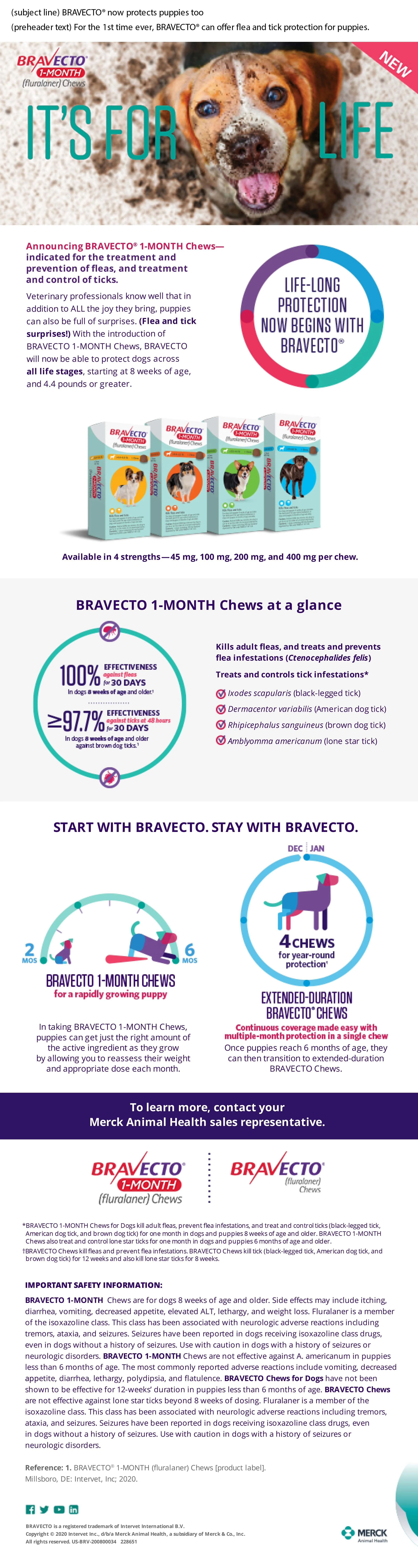 MAHU-228651 Bravecto 1-Month Announcement email v1e-1.jpg