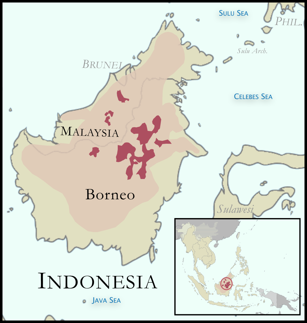 Map – Kayan people — TAD Tribal Art