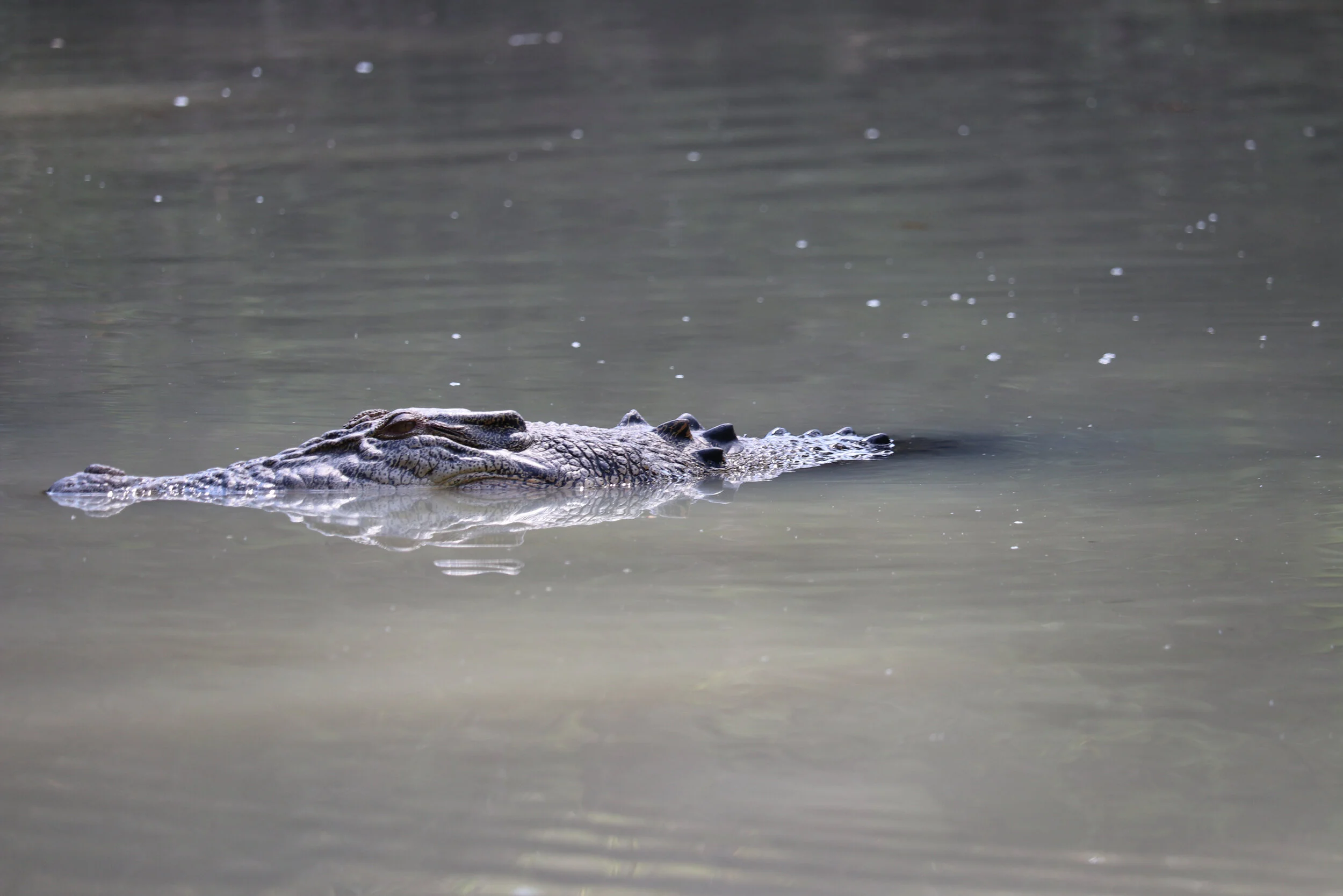 Lanscape - Australia