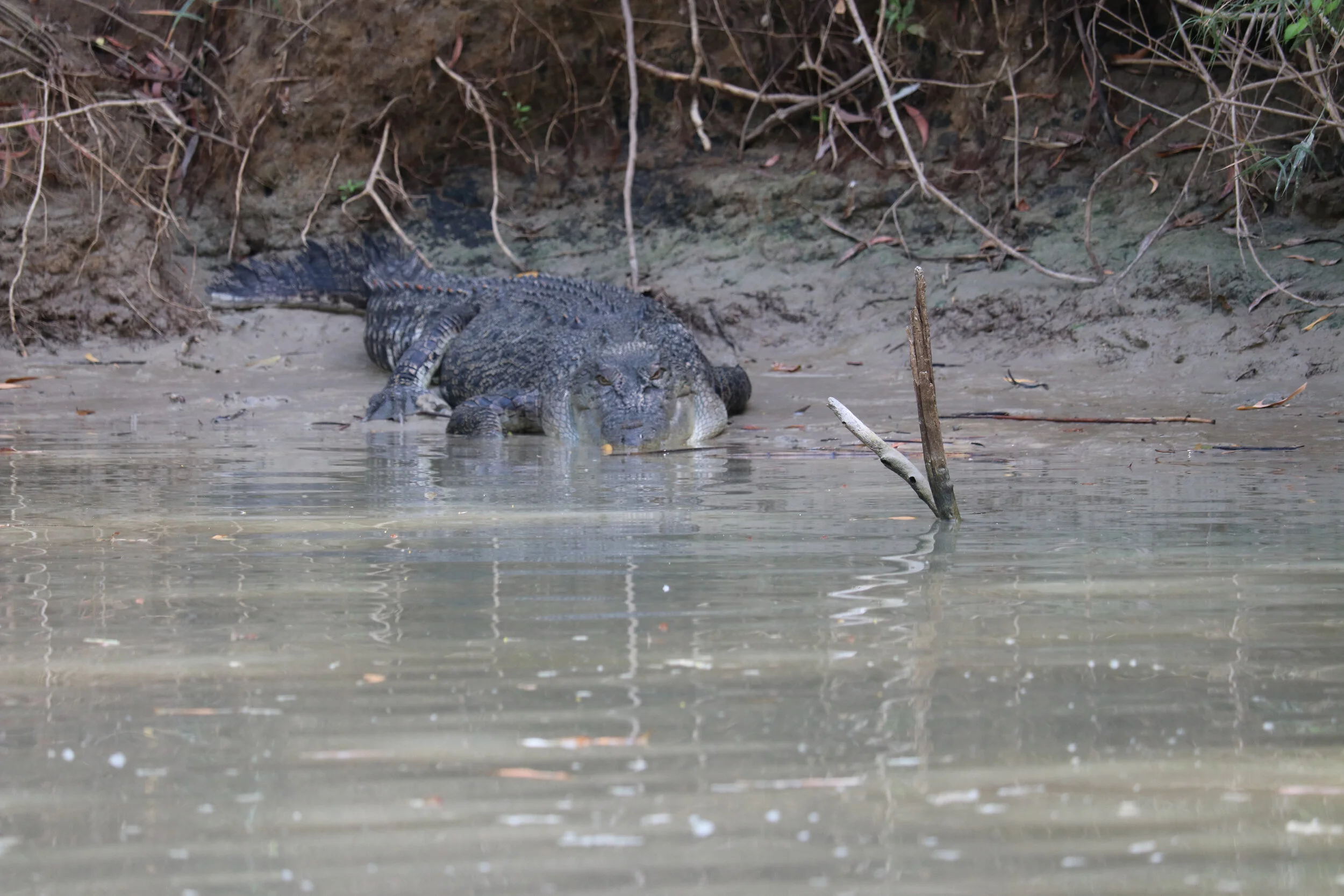 Lanscape - Australia