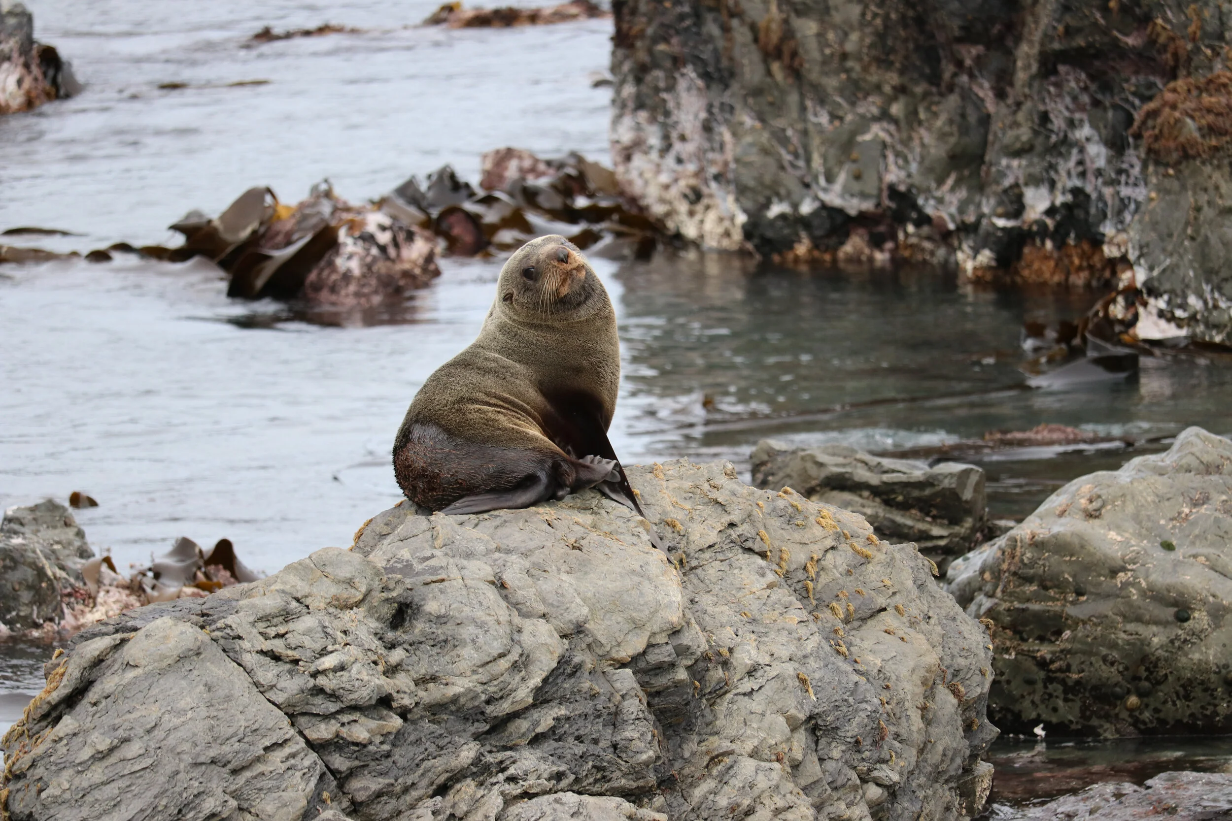 Lanscape - Australia