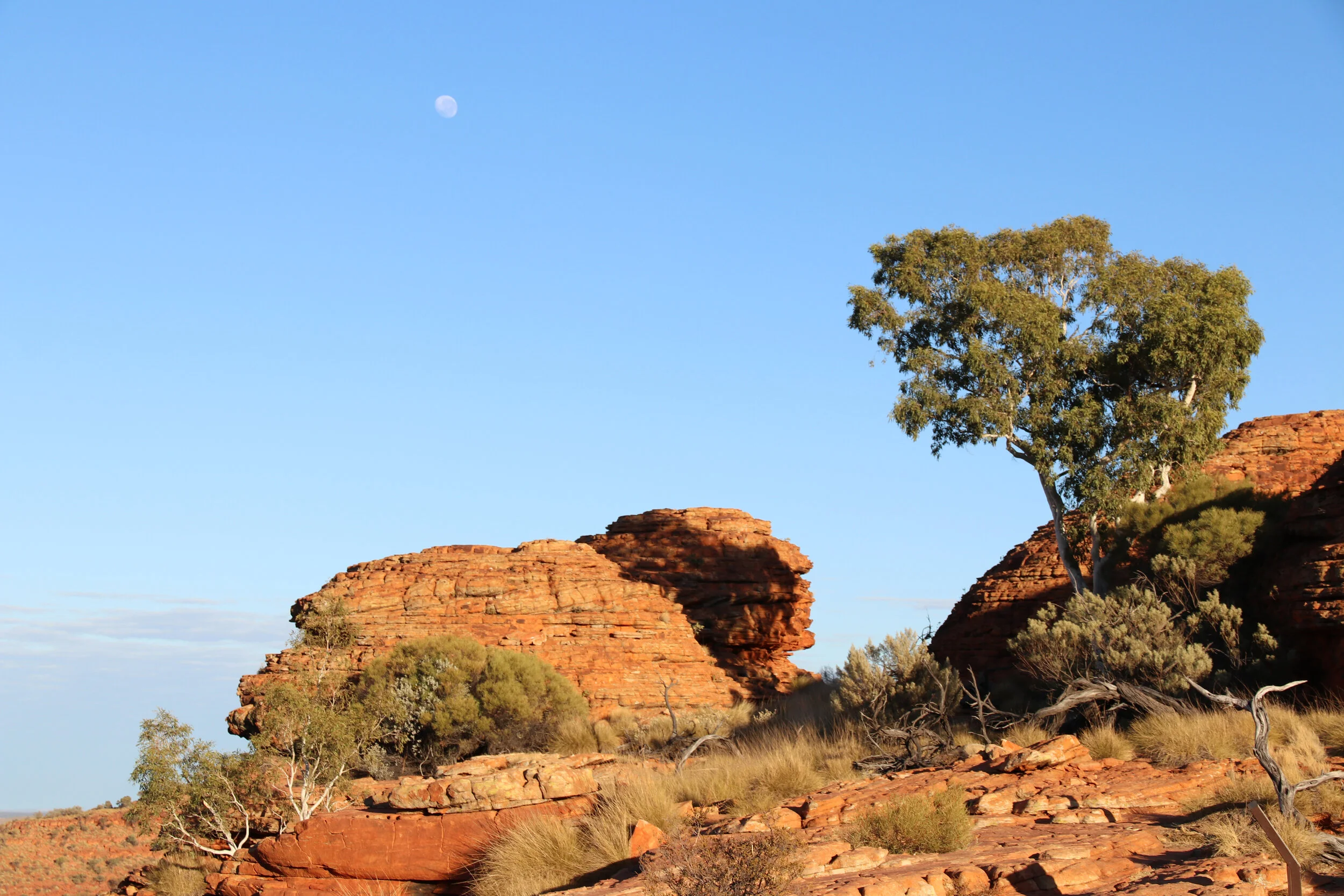 Lanscape - Australia